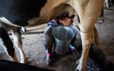 11 Congreso Internacional de la Industria Láctea