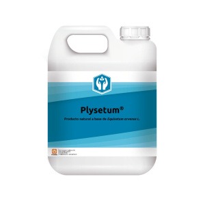 Plysetum
