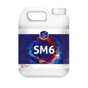 SM6