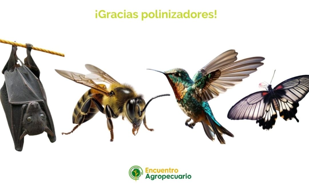 El Rol Vital de la Polinización en la Agricultura: Maximizando los Beneficios para una Producción Sostenible