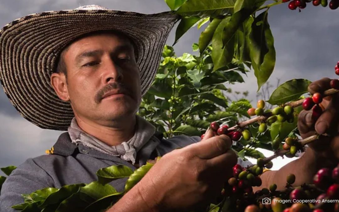 Proyecto de ley para mejorar la calidad de vida de los caficultores