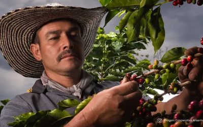 Proyecto de ley para mejorar la calidad de vida de los caficultores