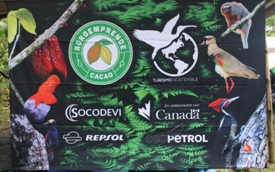 Aves y cacao fuente de turismo en la Orinoquía