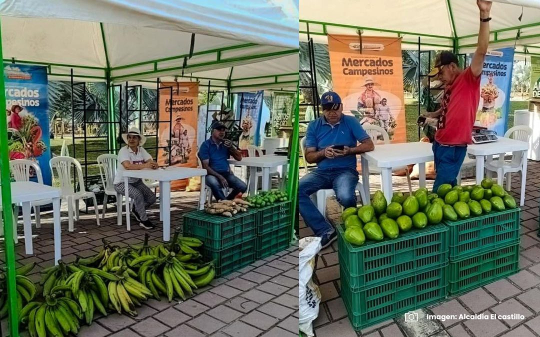 Gobernación del Meta celebró el Día del Campesino en El Castillo