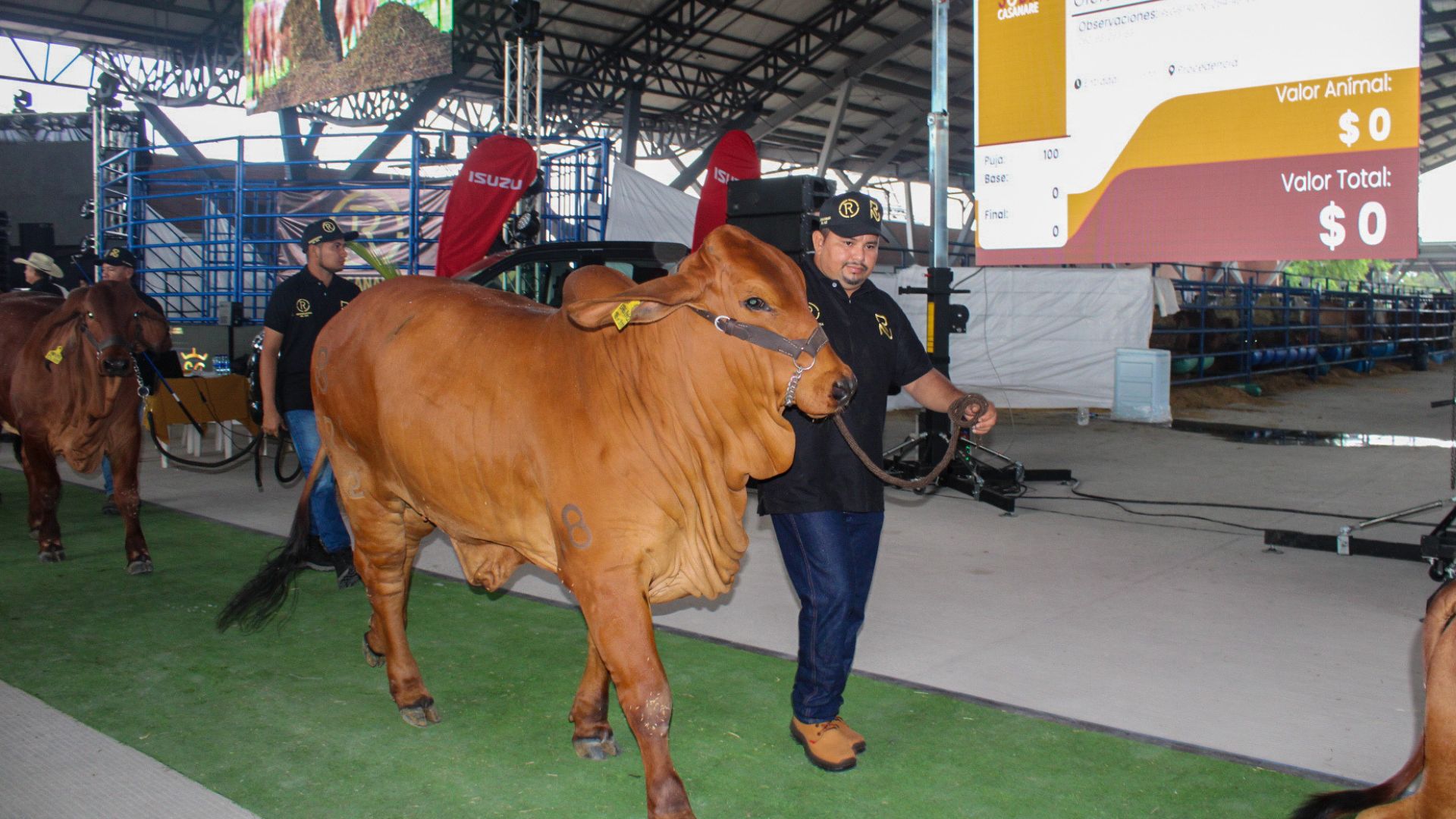 Imágenes página web (6)