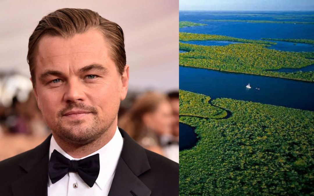 Leonardo DiCaprio pidió al Congreso colombiano aprobar ley contra la deforestación en el amazonas