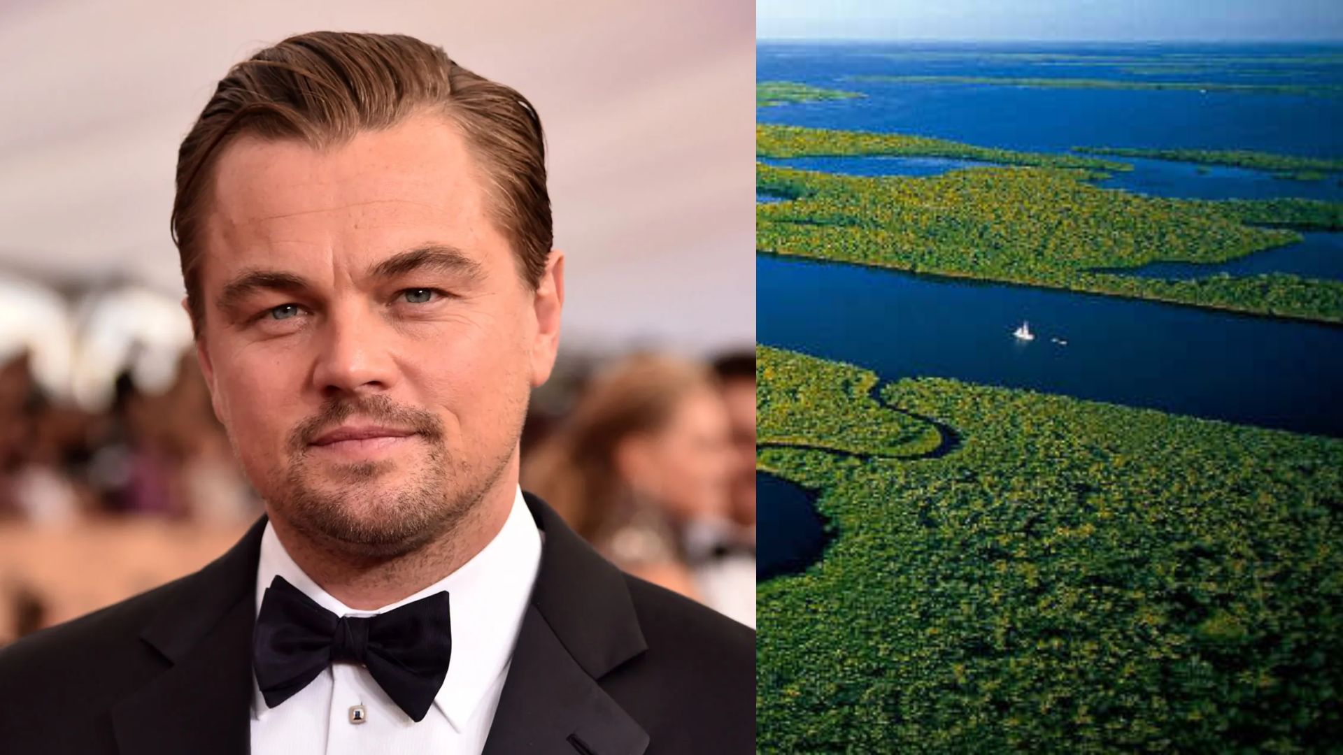 Leonardo Di caprio y la amazonia