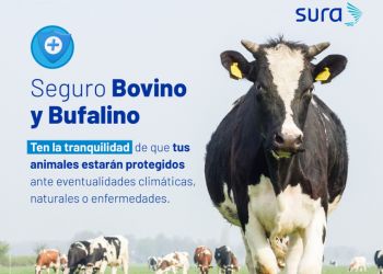 Diseño sin título (3)