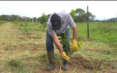 Ecopetrol y campesinos impulsan los corredores biológicos y la ganadería sostenible en el Meta