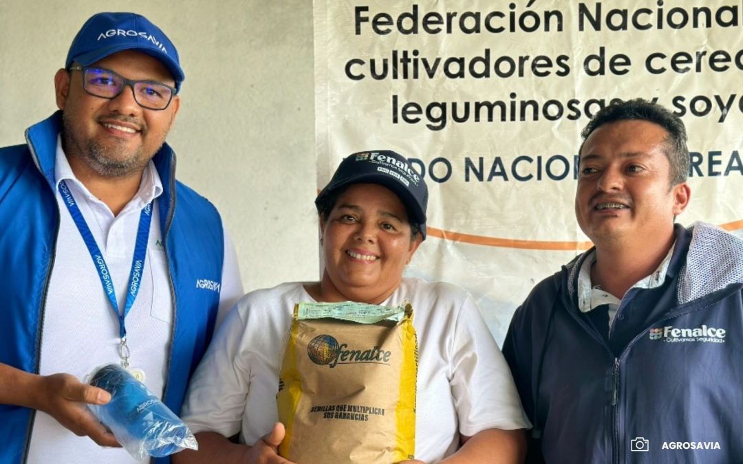 Fortaleciendo la agricultura familiar pequeños productores de maíz en Mesetas reciben apoyo