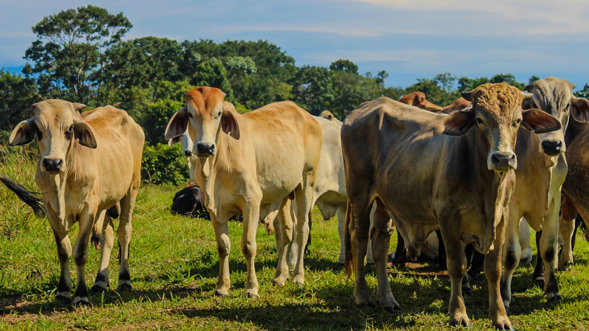 Imágenes página web (26)