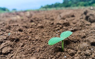 2do Seminario Internacional de Regeneración de Suelos Agrícolas y Ganaderos