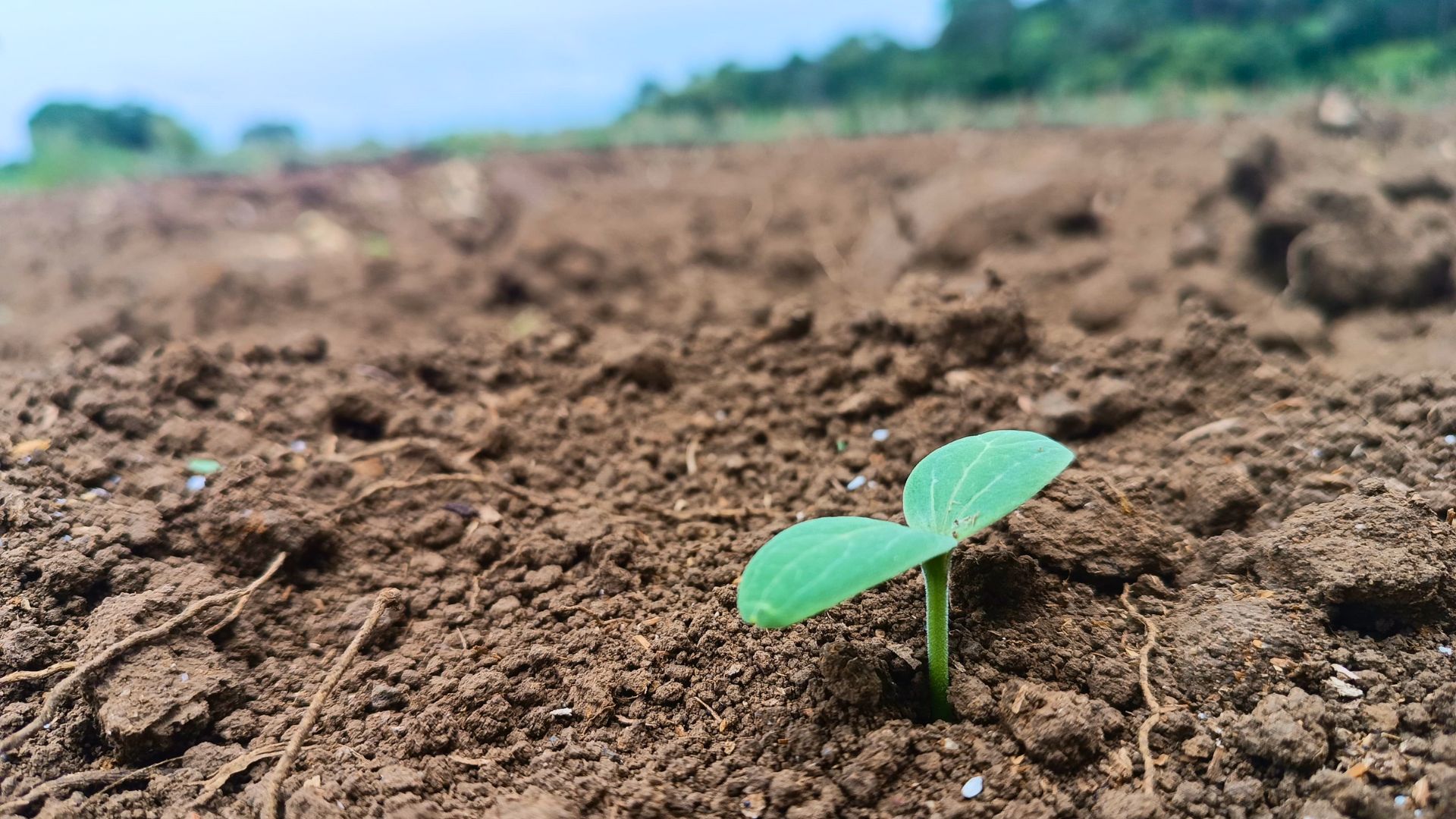 Imágenes página web (29)