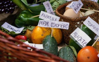 ‘Sumercé’, la Plataforma Agrícola de la Región Central de Colombia, Obtiene Registro de Marca Oficial