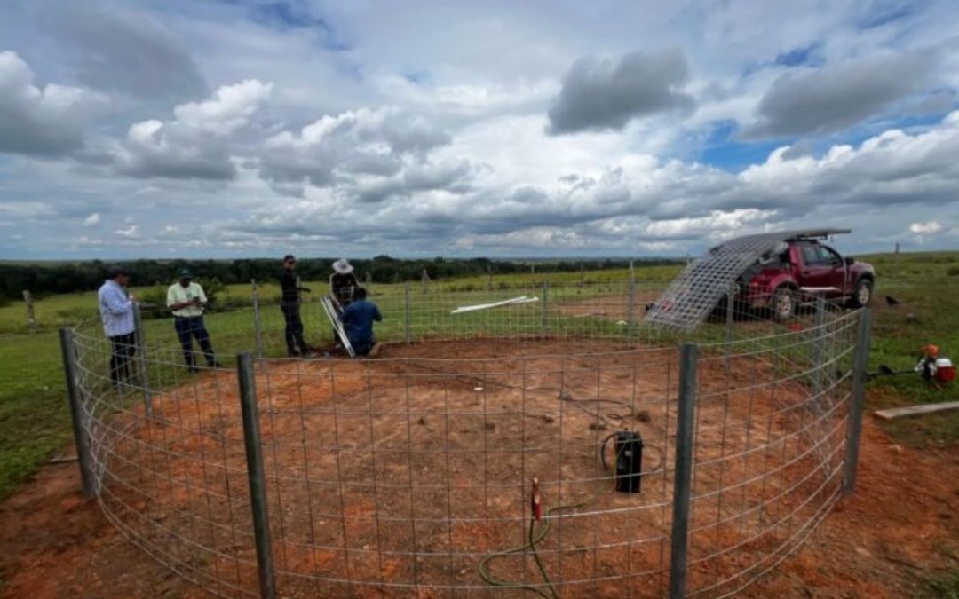 Ecopetrol impulsa 167 Iniciativas agropecuarias en Puerto Gaitán