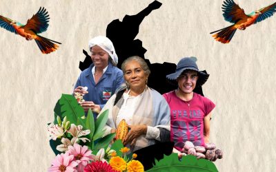 ¡Prográmese! ICA presentará los avances y desafíos del campo en la Orinoquía en su rendición de cuentas 2023