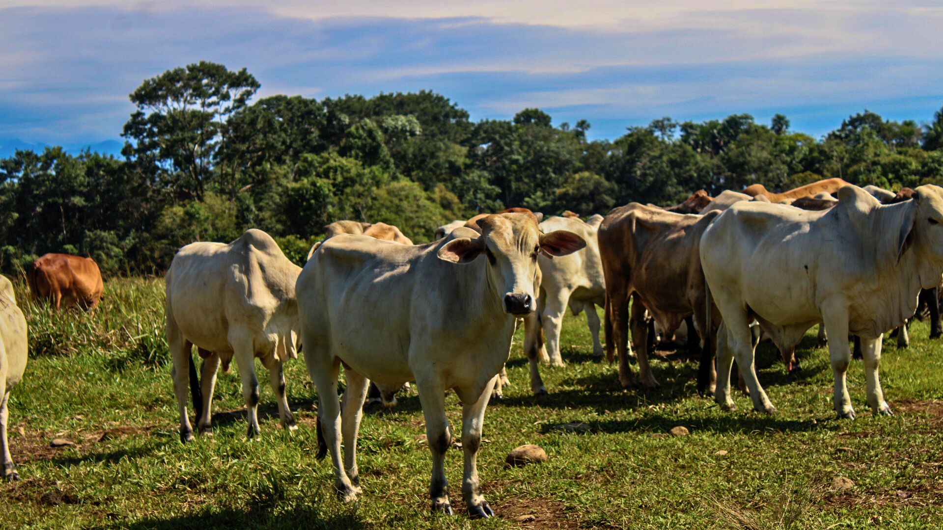 Imágenes página web (41)