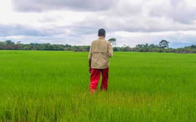 SENA abre inscripciones para el curso de Agricultura Ecológica: Fertilización de Suelos y Cultivos 