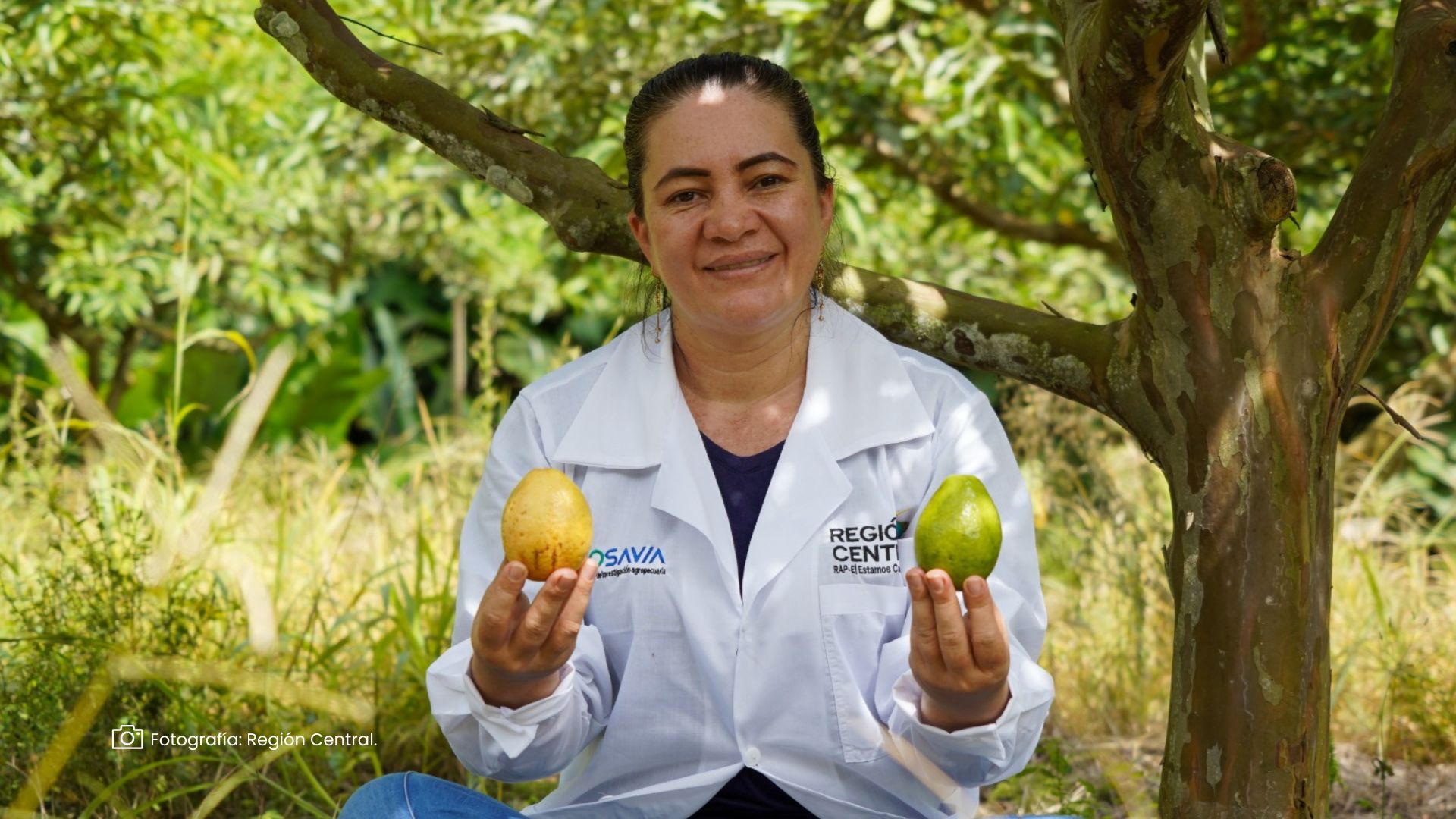 Imágenes página web (47)