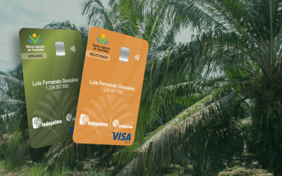 Banco Agrario de Colombia lanza tarjeta débito exclusiva para palmicultores del país