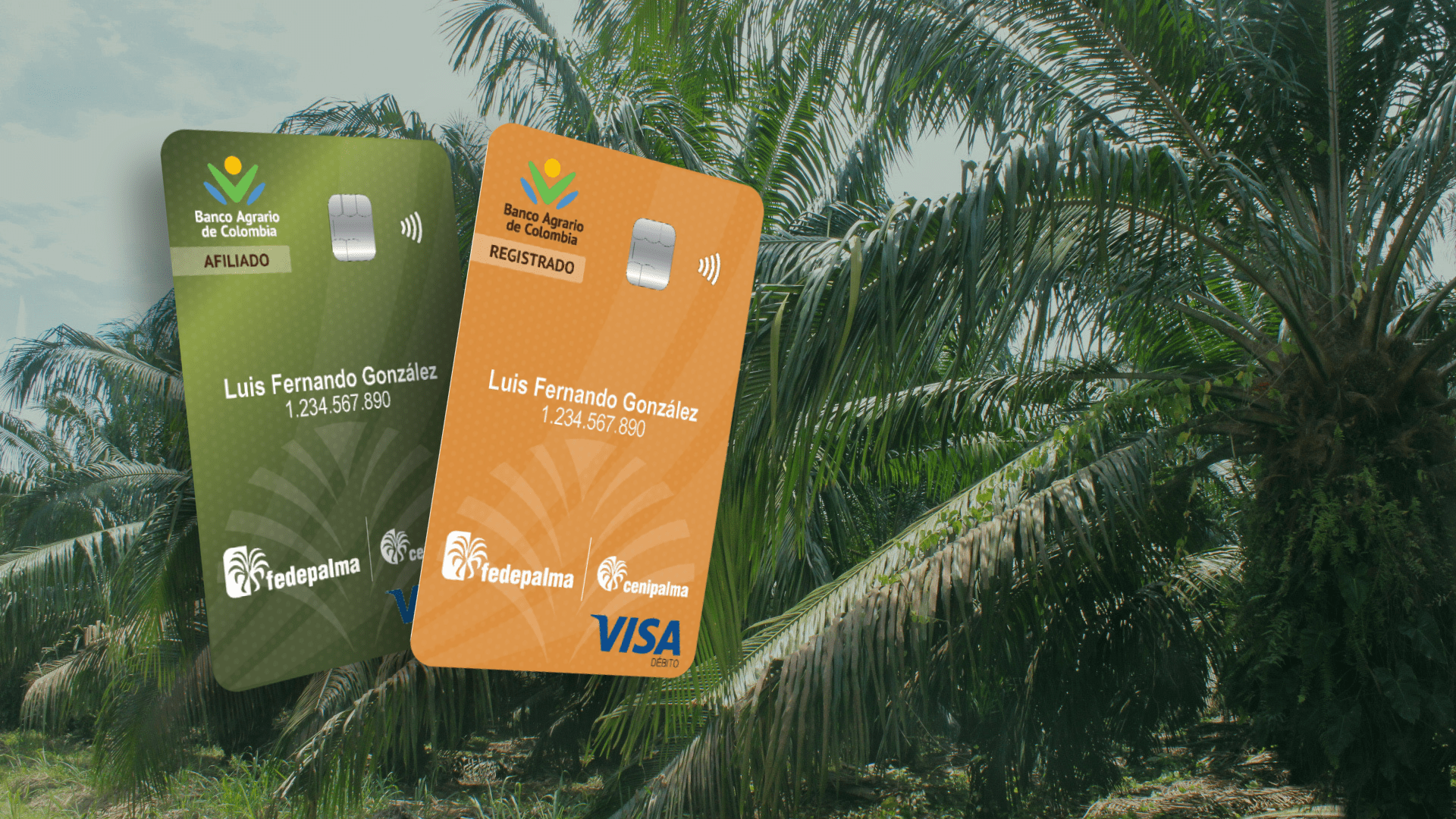 Tarjeta debito para palmicultores