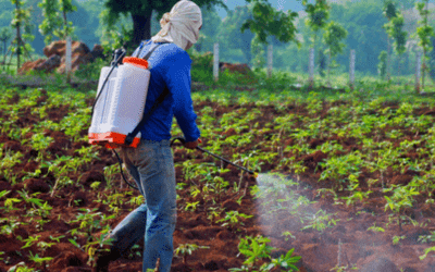 Curso: Código internacional de conducta para el manejo de plaguicidas (FAO)