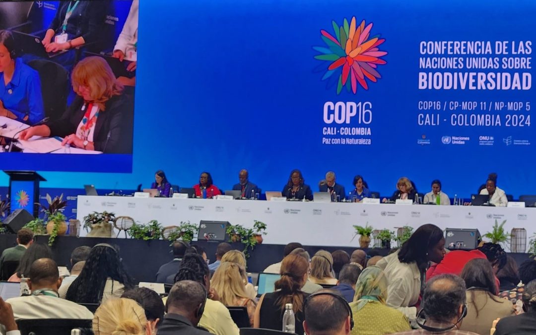 COP16 en Colombia: avanza el debate global sobre biodiversidad y agricultura sostenible