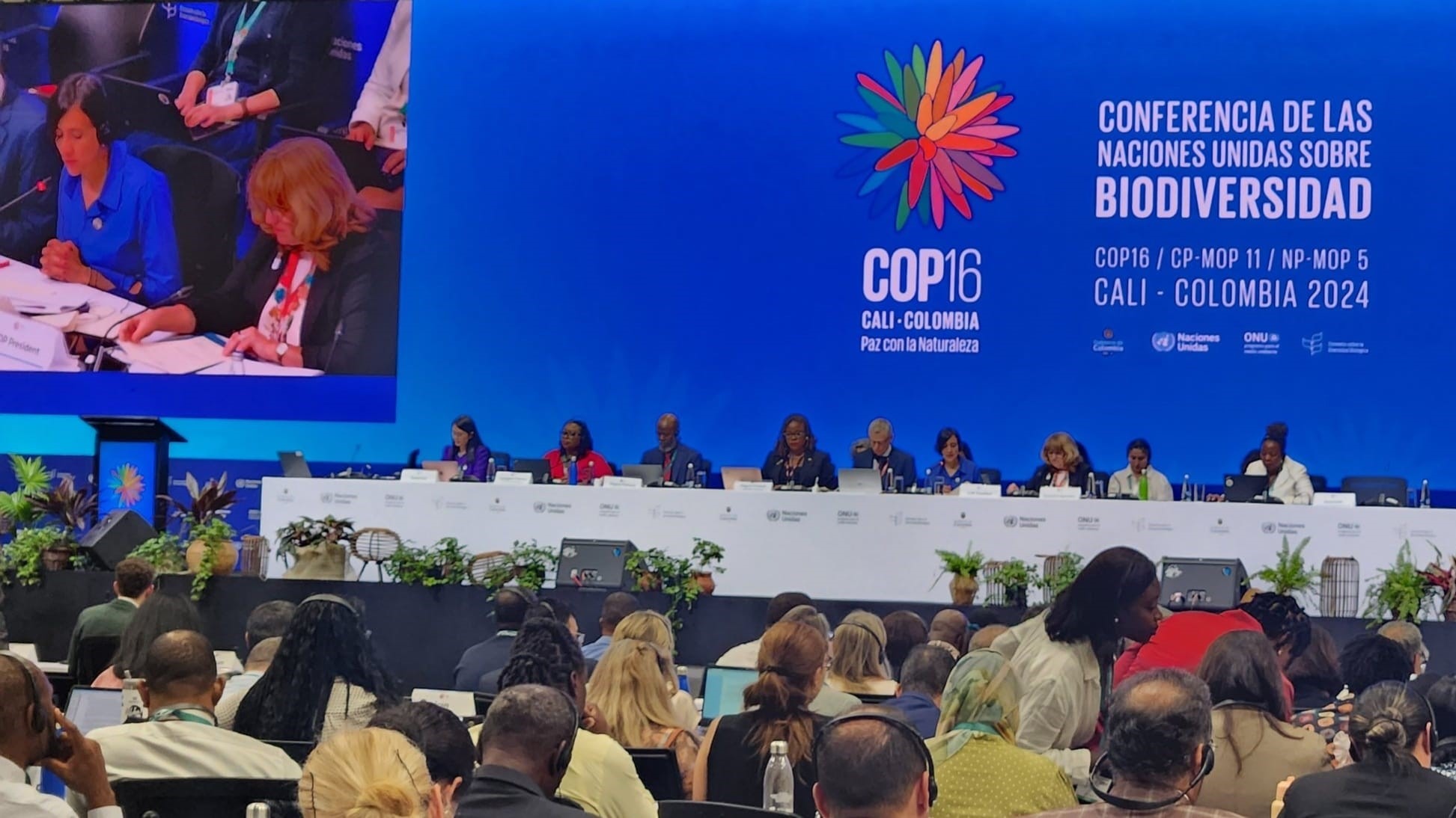 COP16