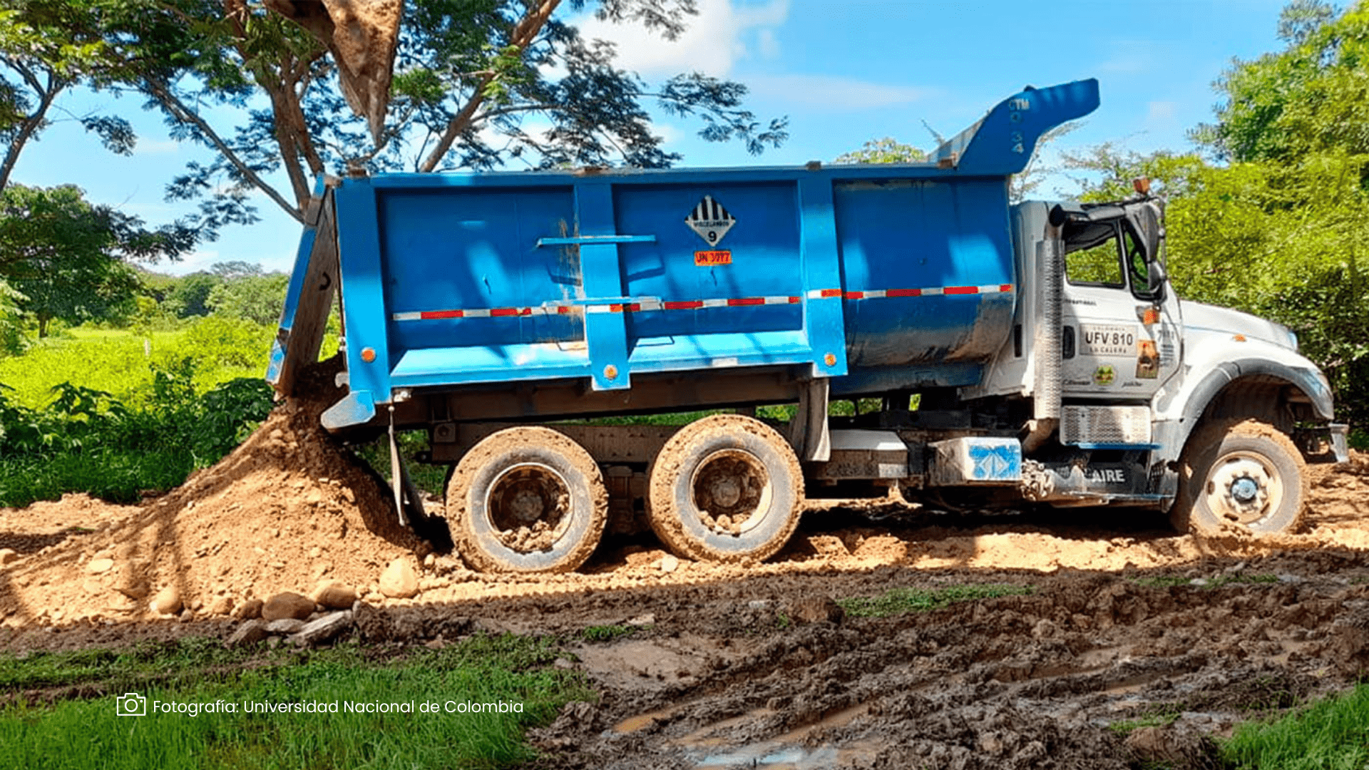 Cenizas de cascarilla de arroz