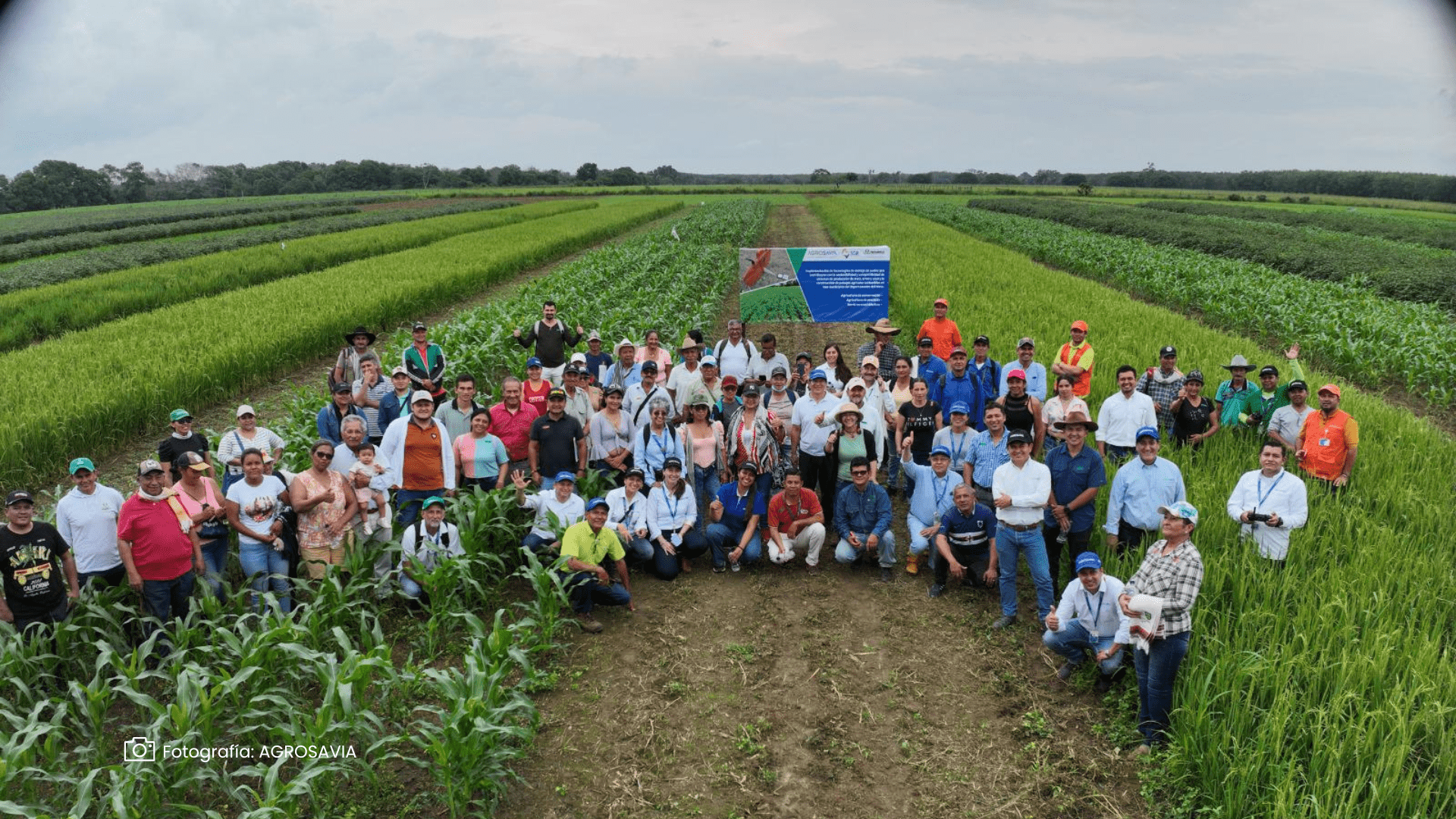 Conservación y Precisión en Cultivos AGROSAVIA Conservación y Precisión en Cultivos AGROSAVIA