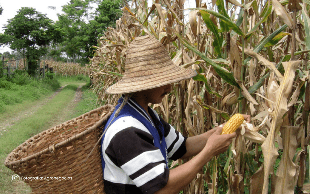 Financiamiento verde de Finagro: más de $1,54 billones para proyectos sostenibles del agro