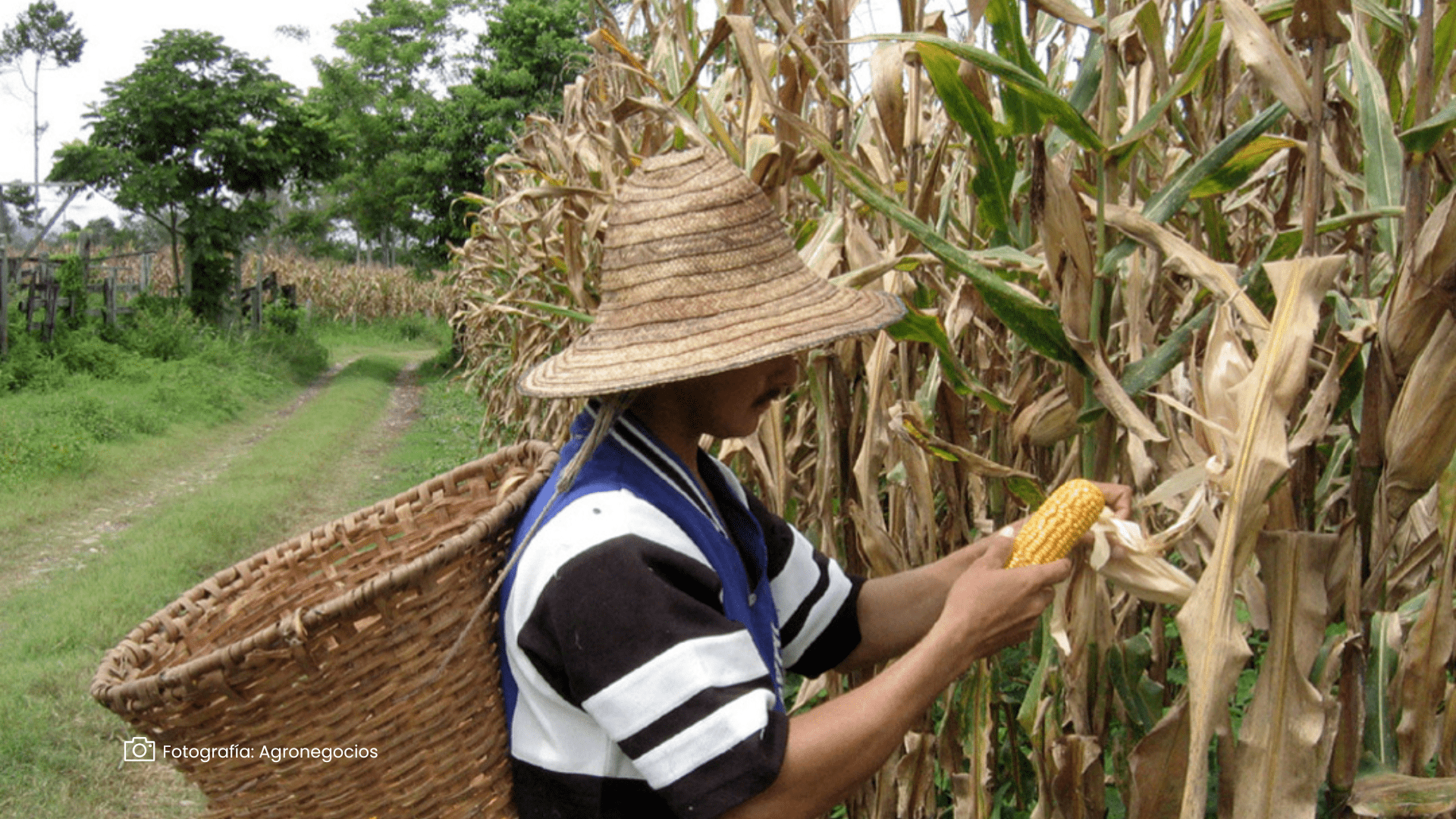 Financiamiento verde
