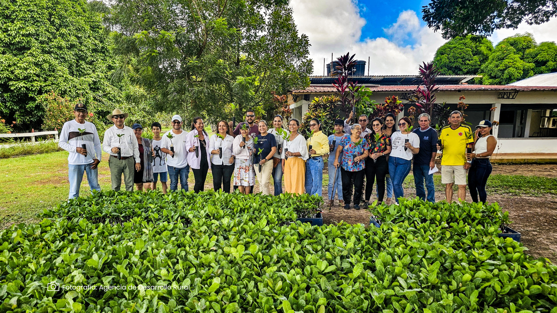 Marañón, fruto de paz para el Vichada