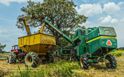 $73.000 millones para rentabilizar la agricultura campesina, familiar, étnica y comunitaria