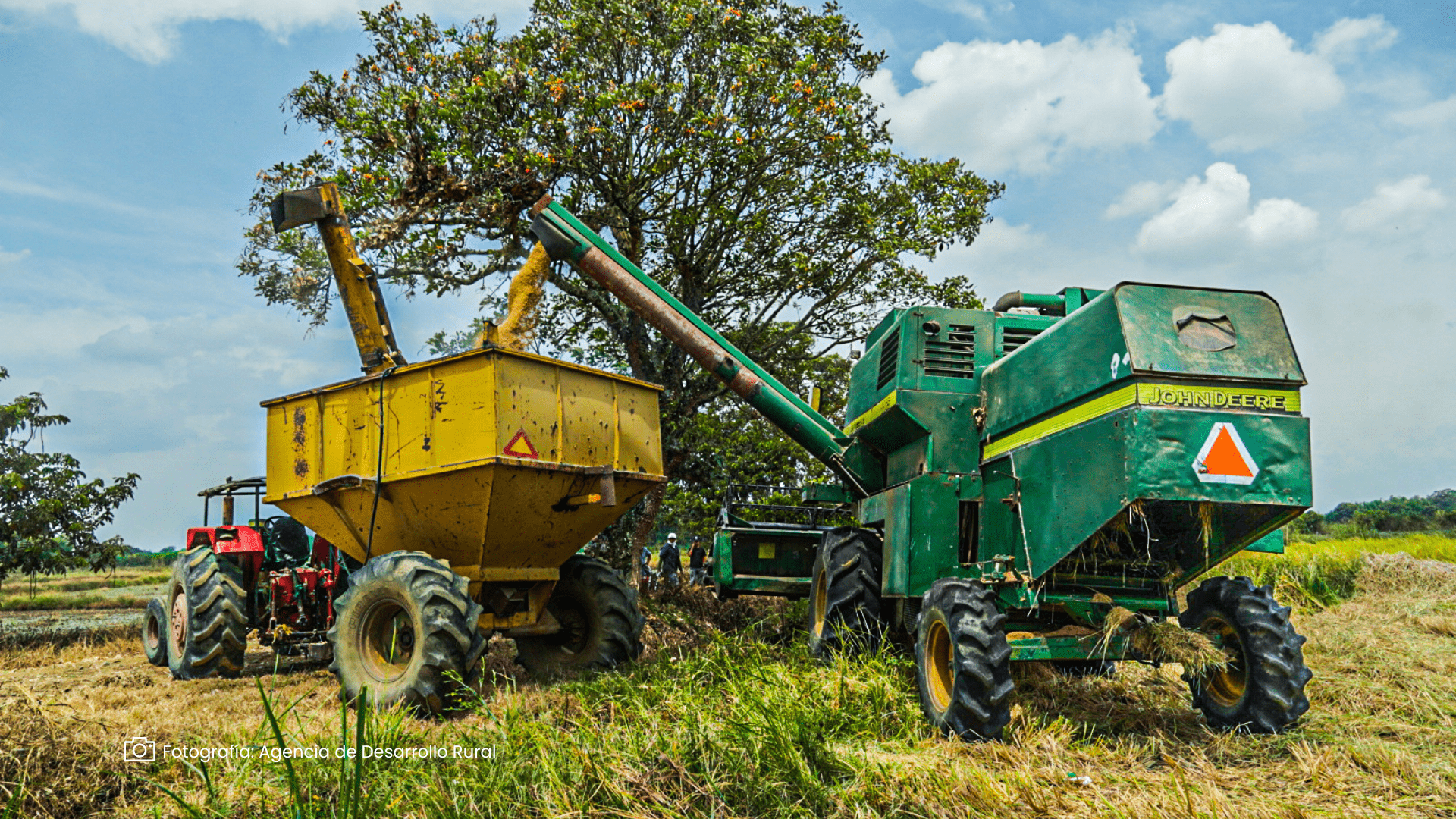 Rentabilización de la agricultura campesina, familiar, étnica y comunitariaRentabilización de la agricultura campesina, familiar, étnica y comunitaria