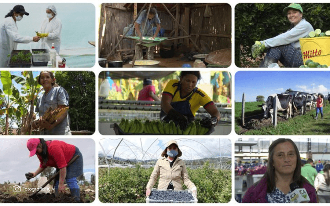 Investigación enfatiza la necesidad de conectar zonas rurales y potenciar el rol de mujeres y jóvenes para revolucionar la agricultura