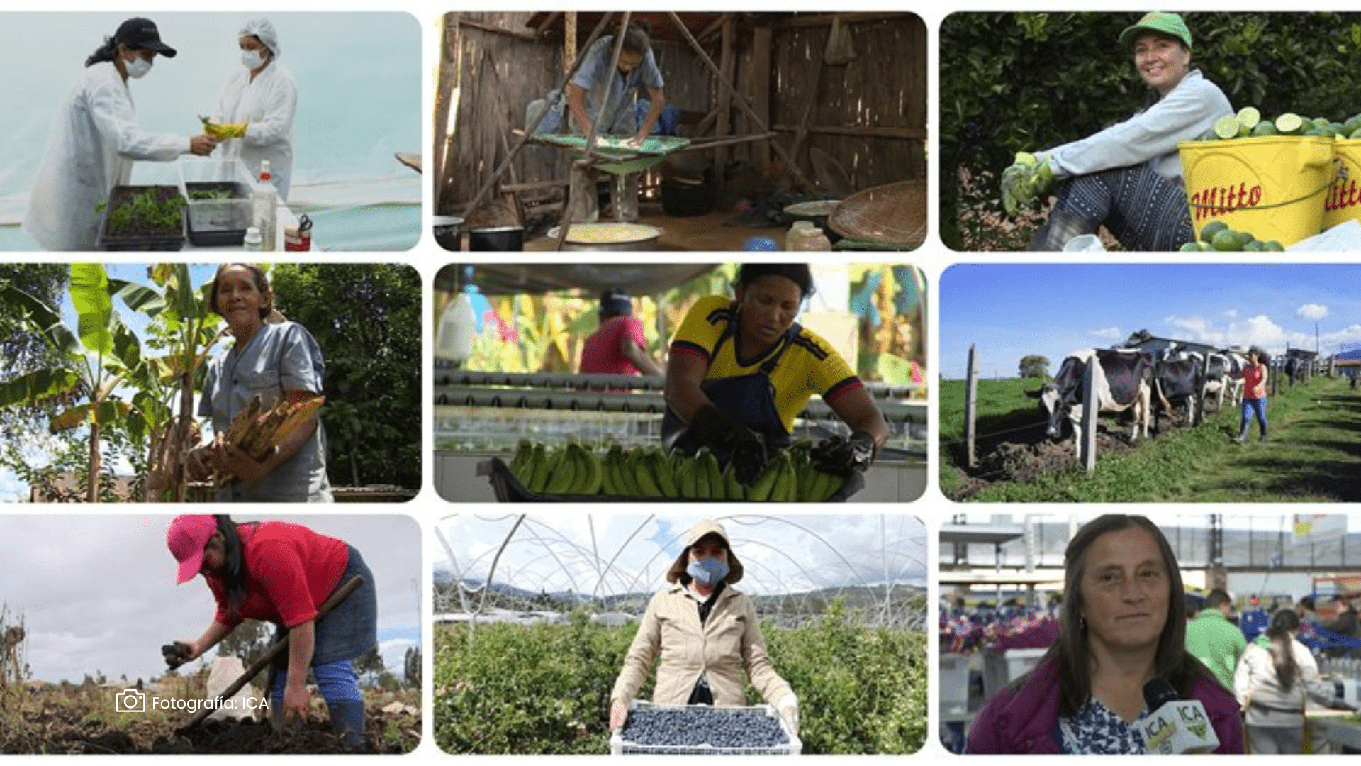 Revolucionar la agricultura