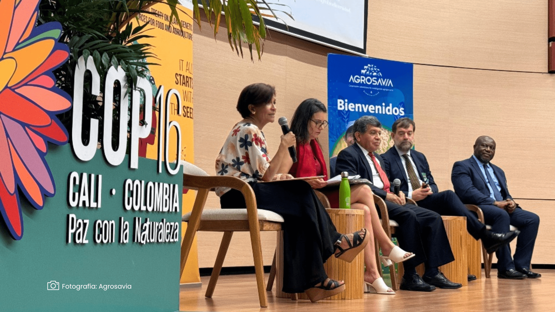 Tratado internacional de semillas Tratado internacional de semillas