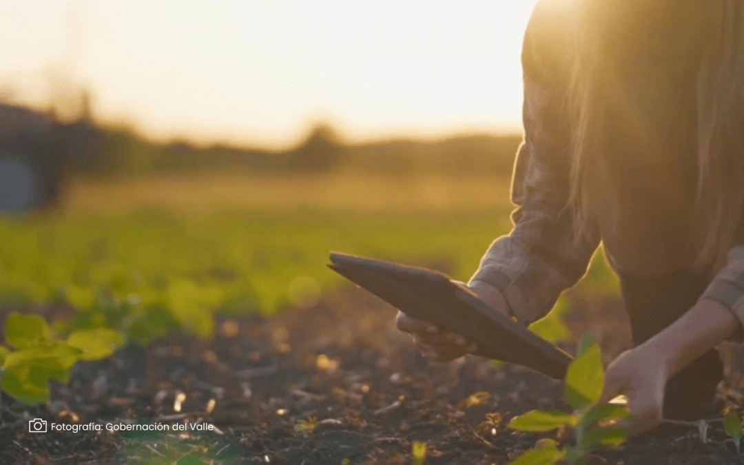 Llega una oportunidad para soluciones innovadoras en el sector agroalimentario