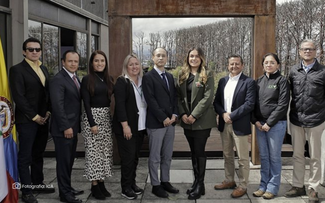 Avanza la expansión del mercado de aguacate hass en Japón