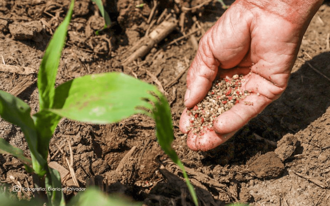 Reducirán costos de producción de manera temporal en Colombia