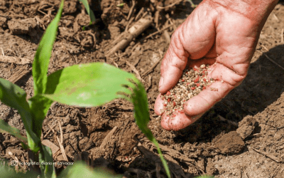 Reducirán costos de producción de manera temporal en Colombia