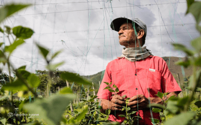 Desempleo en el campo baja al 5,9% para el sector agropecuario