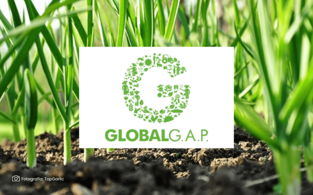 Global GAP: La certificación que impulsa la competitividad agrícola