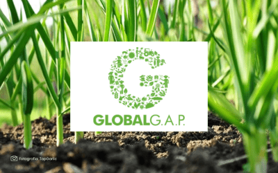 Global GAP: La certificación que impulsa la competitividad agrícola