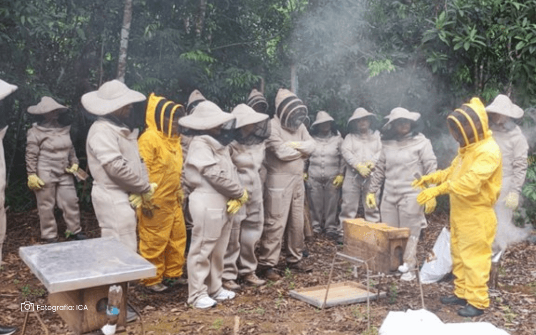 Promueven buenas prácticas apícolas en el Meta para proteger a las abejas
