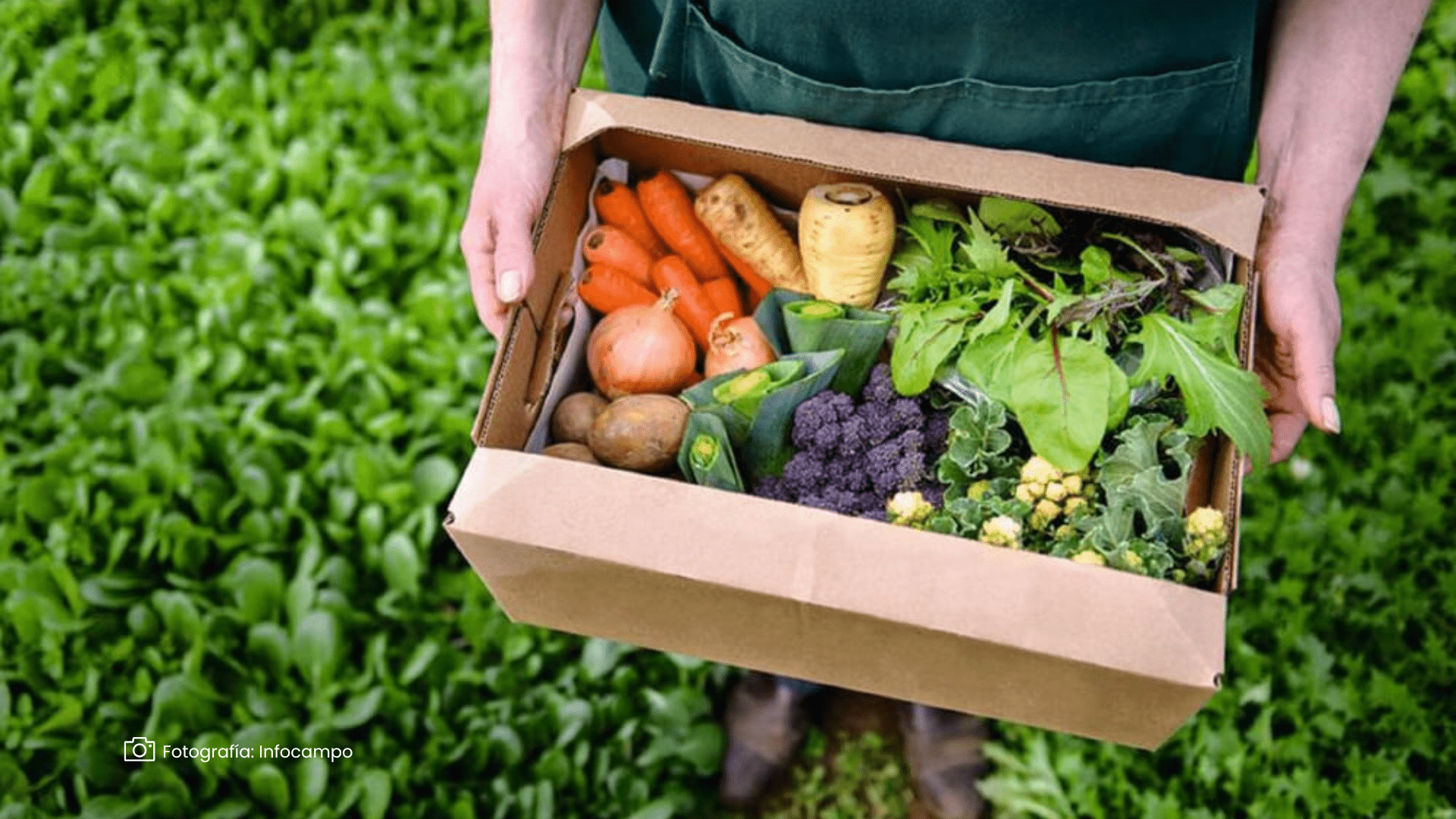 Productos pecuarios y agrícolas