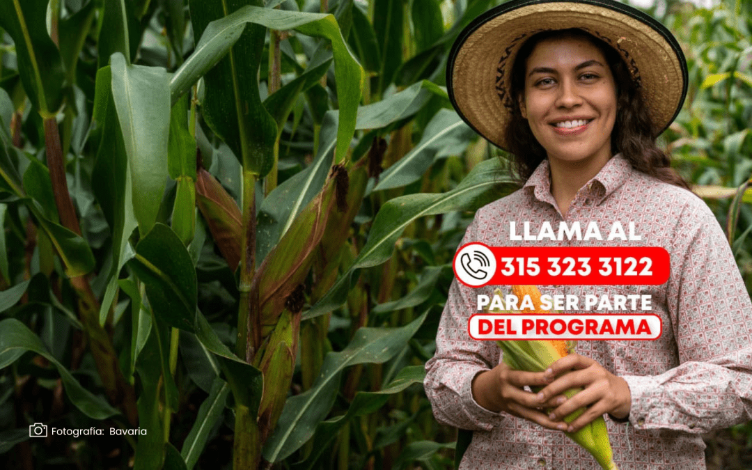 Siembra Bavaria busca nuevos agricultores para fortalecer el agro colombiano