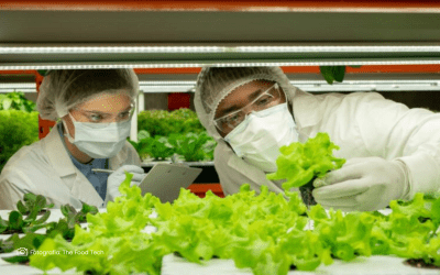 Uniagraria lanza diplomado en Innovación y Desarrollo de Productos Alimenticios