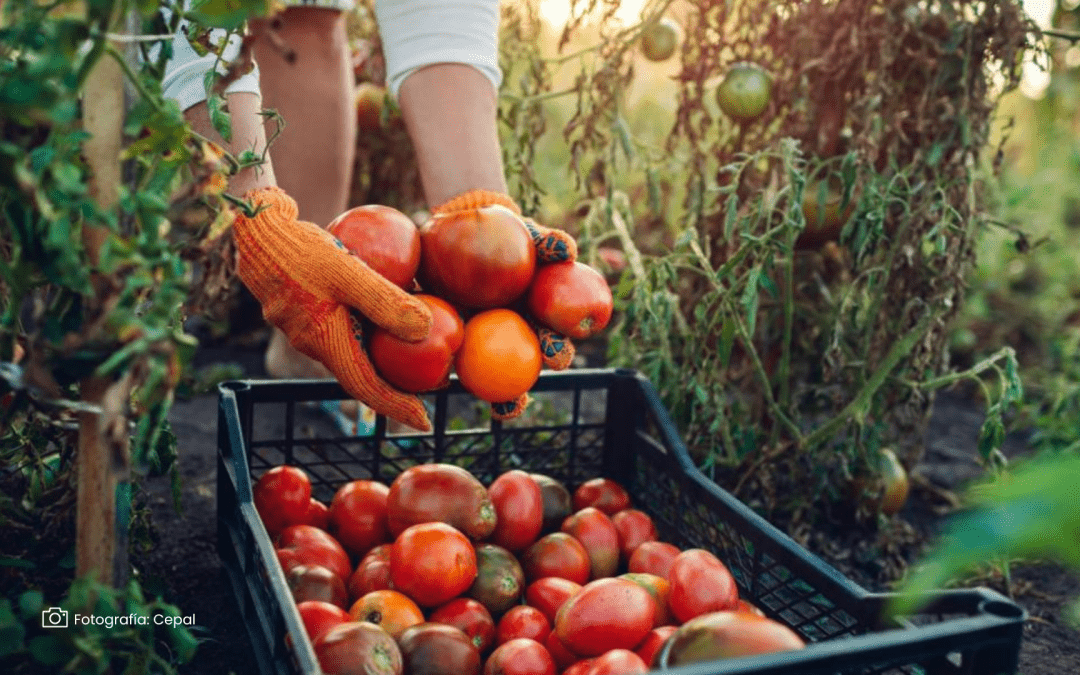 Uniagraria explora cómo la tecnología impulsa la competitividad en el sector agrícola